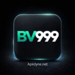 BV999.COM