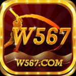 W567.COM