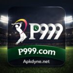 P999.COM